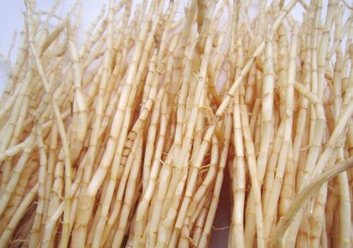 鈣鐵鋅硒檢測(cè)儀價(jià)格茅根含有的藥用價(jià)值你知道嗎 鈣鐵鋅硒檢測(cè)儀價(jià)格茅根含有的藥用價(jià)值你知道嗎
