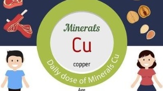 微量元素測(cè)定儀品牌銅是人類健康所需的人體微量元素 微量元素測(cè)定儀品牌銅是人類健康所需的人體微量元素