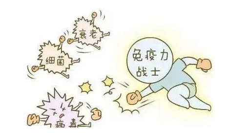 硒的作用是什么鈣鐵鋅硒檢測儀如何“補(bǔ)硒”更快更好 硒的作用是什么鈣鐵鋅硒檢測儀如何“補(bǔ)硒”更快更好