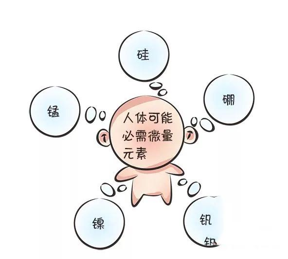 人體微量元素測試儀器如何檢測身體中微量元素的含量 是否靠譜？