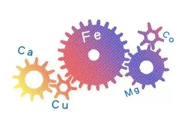人體微量元素分析儀 人體微量元素分析儀自我健康管理 人體細(xì)微小處關(guān)乎大健康