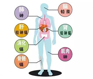 微量元素測(cè)試儀品牌 國內(nèi)微量元素測(cè)試儀品牌關(guān)于微量元素那些你不知道的事情值得收藏